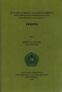 Pengaruh Pemberian MOL Rebung Terhadap Pertumbuhan dan Produksi Tanaman Terung (solonum melongena L)