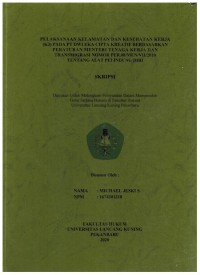 Pelaksanaan Keselamatan dan Kesehatan Kerja (K3) Pada PT Dwi  Eka Cipta Kreatif Berdasarkan Peraturan Mentri Tenaga Kerja dan Transmigrasi Nomor PER.08/VII/2010 Tentang Alat Pelindung Diri