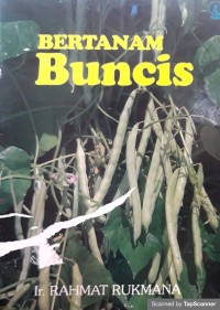 Bertanam Buncis