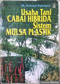 Usaha tani cabai hibrida sistem mulsa plastik