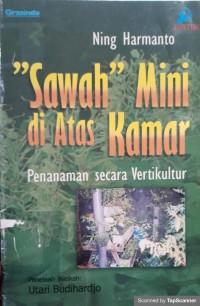 Sawah mini diatas kamar