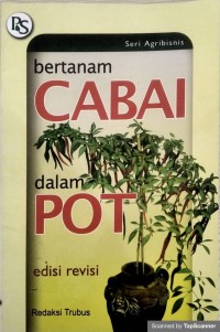 Bertanam Cabai Dalam Pot