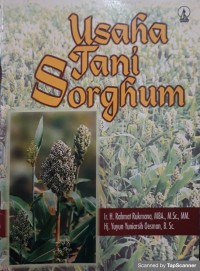 Usaha tani sorghum