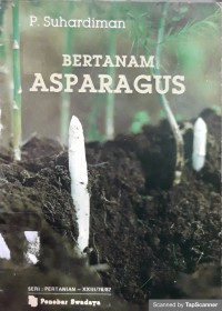 Bertanam asparagus