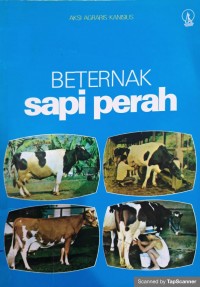 Beternak sapi perah