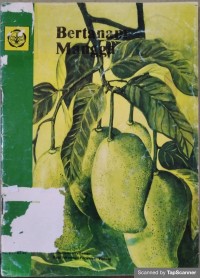 Bertanam mangga