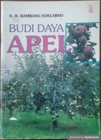 Budi daya apel