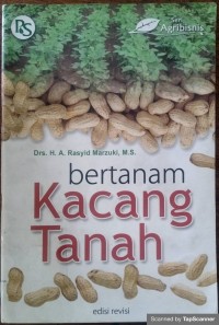 Bertanam kacang tanah