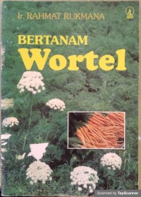 Bertanam wortel