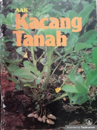 Kacang tanah