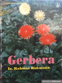 Gerbera