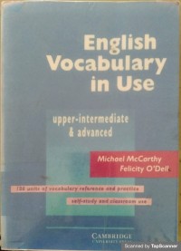 English vocabulary in use