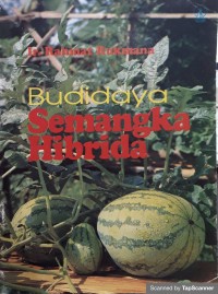 Budi daya semangka hibrida