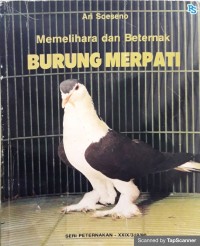 Memelihara dan beternak burung merpati