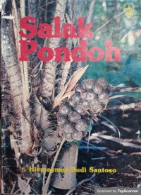 Salak pondoh