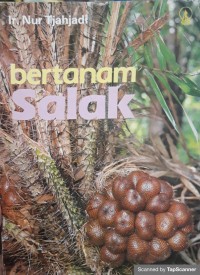 Bertanam salak