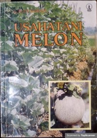 Usahatani melon