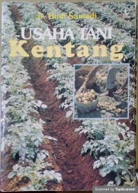 Usaha tani kentang