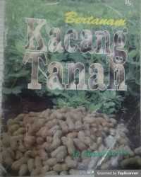 Bertanam kaacang tanah