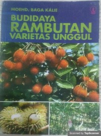 Budidaya rambutan varietes unggul