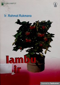 Jambu air