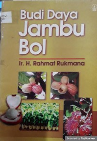 Budidaya jambu bol