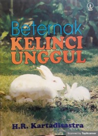 Beternak kelinci unggul