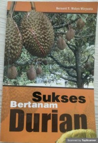 Sukses Bertanam Durian