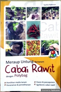 Meraup Untung Bertanam Cabai Rawit Dengan Polybag