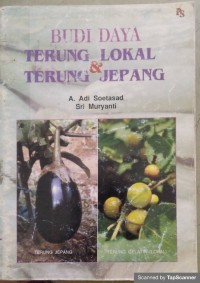 Budi Daya Terung Lokal & Terung Jepang