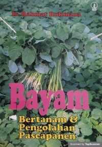 Bayam Bertanam & Pengolahan Pascapanen