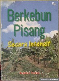 Berkebun Pisang Secara Intensif