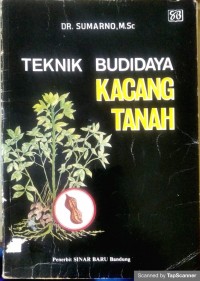 Teknik budidaya kacang tanah