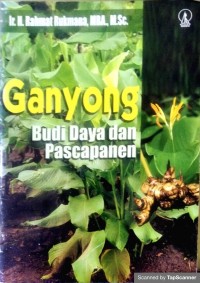 Ganyong budi daya dan pascapanen