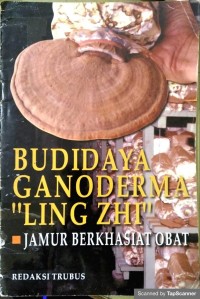 Budidaya ganoderma 