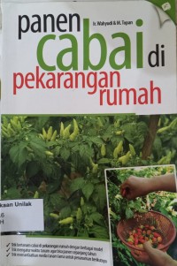 Panen Cabe di Perkarangan Rumah