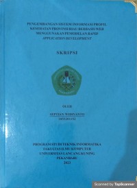 Pengembangan sistem informasi profil kesehatan provinsi riau berbasis web menggunakan pemodelan rapid application development